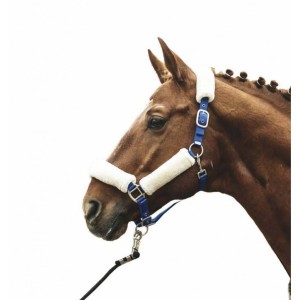 Kantar North Pole  HKM