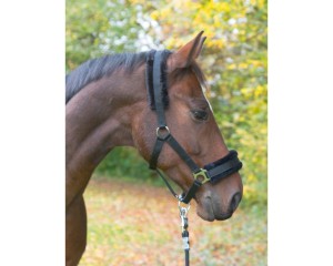 Kantar z futrem COVALLIERO