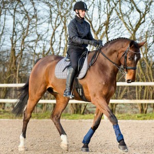 Ochraniacze Brushing HORZE