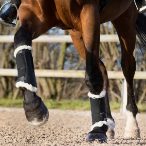 Ochraniacze Signature HORZE