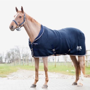 Derka Theo Thermo HORZE