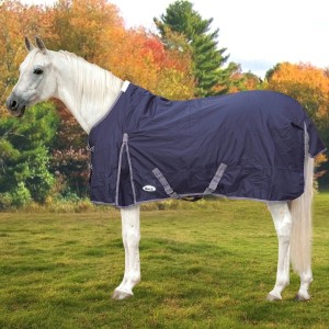 Derka Calista Winter 100 g YORK