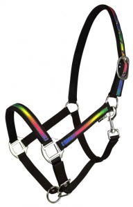 Kantar Rainbow Reflect YORK