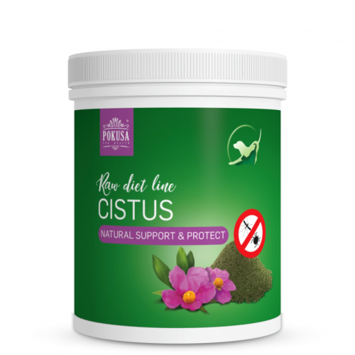 rawdietline-czystek-cistus-500g.jpg