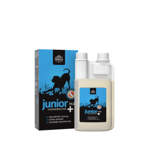 Chondroline Junior +HA POKUSA