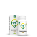 chondrocare-tabletki-na-stawy-naturalne-suplementy.jpg