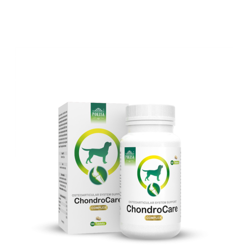 chondrocare-tabletki-na-stawy-naturalne-suplementy.jpg