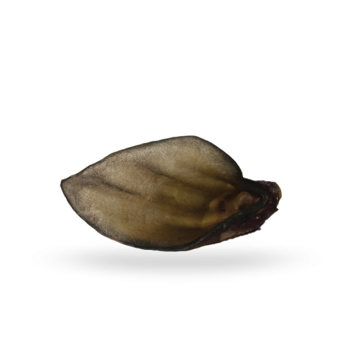 gryzak-naturalny-ucho-wolowe.jpg