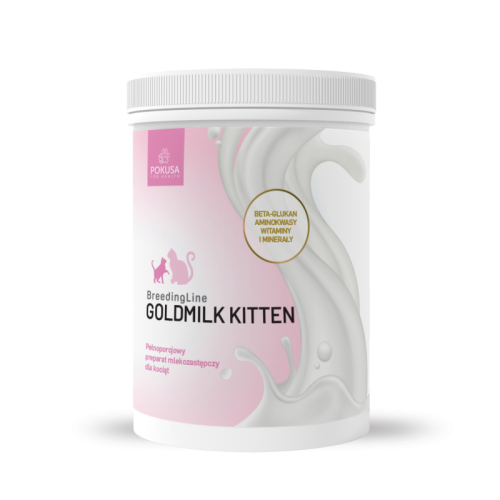 breedingline-goldmilk-kitten.jpg