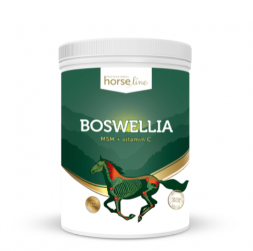 Zrzut ekranu 2022-09-28 110535.png