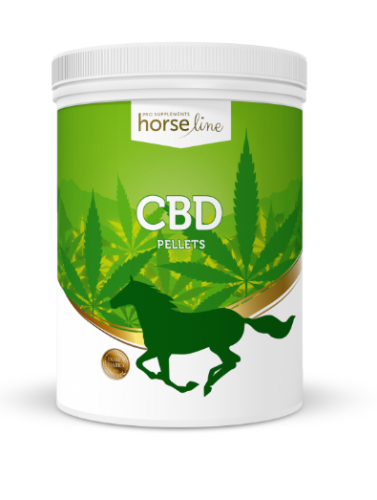 Zrzut ekranu 2022-09-28 171722.png