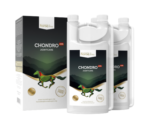 Zrzut ekranu 2022-09-29 095722.png