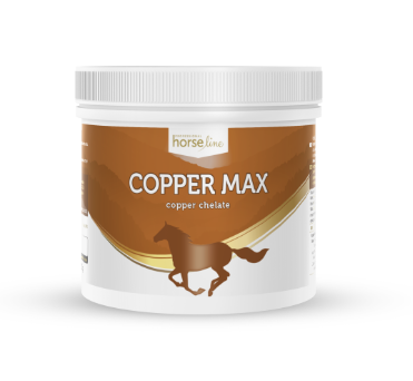 Zrzut ekranu 2022-09-29 120015.png