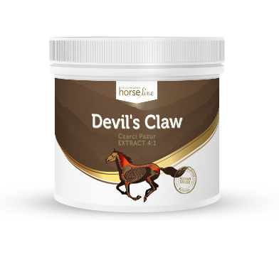 Zrzut ekranu 2022-09-29 120628.png