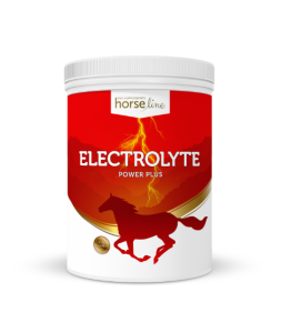 Electrolyte PowerPlus zastrzyk dodatkowej energii  HORSELINEPRO