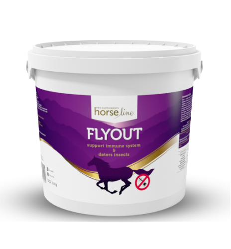 Zrzut ekranu 2022-09-29 155700.png