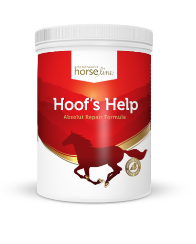 Zrzut ekranu 2022-10-02 184304.png