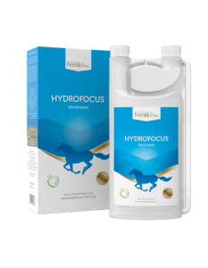 HydroFocus Electrolyte 1000ml przywrócenie równowagi wodno - elektrolitowej HORSELINEPRO