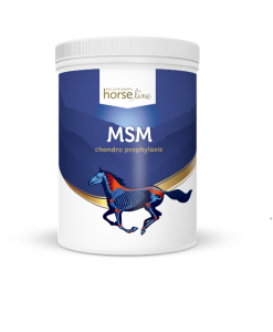 MSM działanie przeciwzapalne HORSELINEPRO
