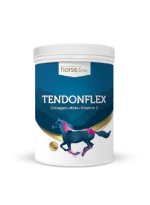 Tendonflex odżywienie i regeneracja ścięgien HORSELINEPRO