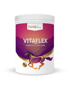 VitaFlex witaminy i minerały oraz profilaktyka aparatu ruchu HORSELINEPRO