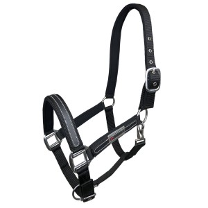 Kantar Lauren HORSENJOY