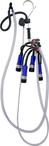 c1814bdb75bb9dbdfb533372e29814f7