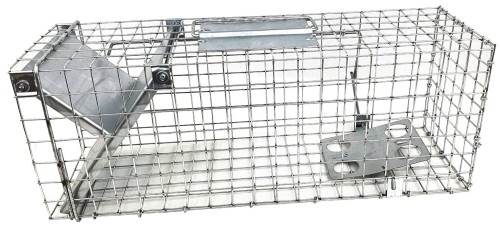 24f50c842e818309e6c8c9b14ced21da