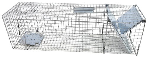 9296c3e59684b192752975e1d923500d