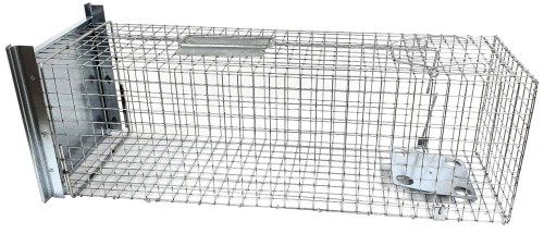 46d50d06ca0bcbfcd53d194ad41e82a4