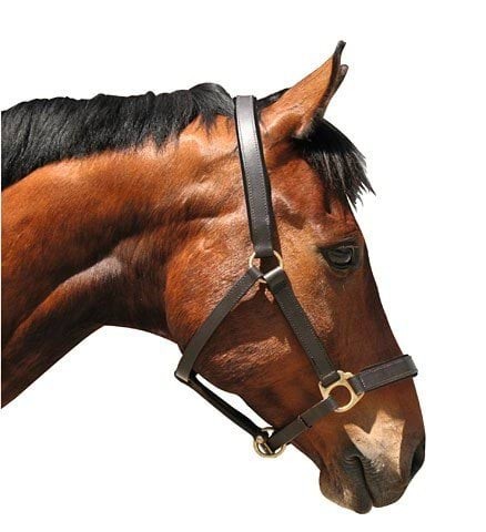 f6256ce84a02eb1a15986d63e8d6fd7b