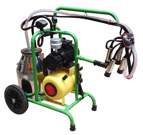 febf888894fc3b27a1399a4cce9681a9