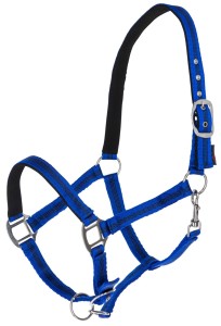 Kantar dla konia Mustang, niebieski/czarny, roz. Pony, Covalliero