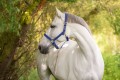 a677a1498ff940e5a60c4c10d8eda3c5