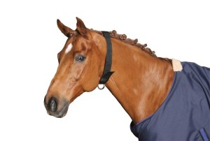 Obroża dla konia, nylonowa, czarny, roz. Full, Covalliero