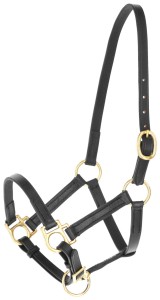 Kantar dla konia Eco, skórzany, czarny, roz. Foal, Covalliero