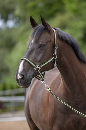 07a4deaf66e7ee593ceec56c86e6578f