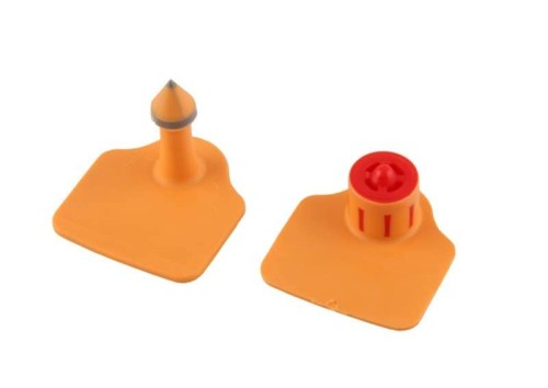 cd6fb251b154fca810a00cb4ab49631f