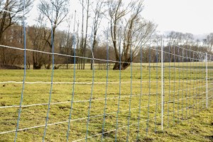 Siatka przeciwko wilkom TitanNet, 50 m, 145 cm, podw. szpic, niebiesko-biała, Kerbl