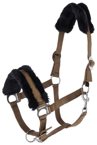 d5a35ba6feee41a4665564d2f313aa10