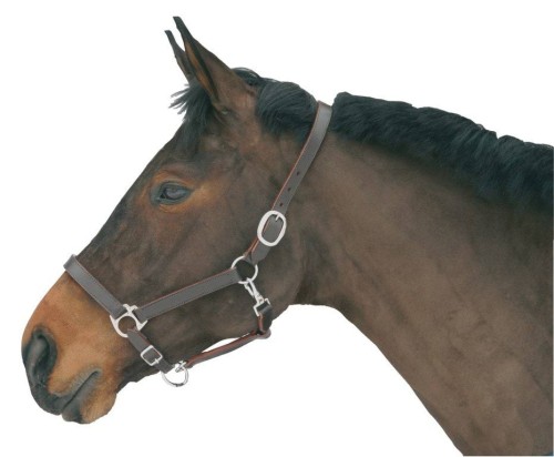 5f1896a874dde1e9c19177bc8d42f5a2