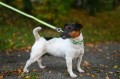 373c1d522e0f6fc7dd56239536a3b419