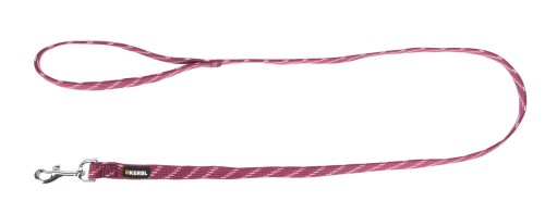 510e493e0dc44babdf40339d5560e450