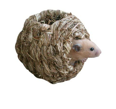 66e24d78789d2b65d4d2cf9c555da425