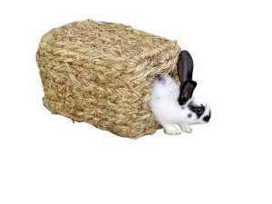 Eko domek z trawy dla gryzoni, 28 x 18 x 15 cm, Kerbl