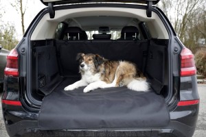 Koc ochronny na siedzenie samochodowe Economy, czarny, 170 x 100 cm, Kerbl