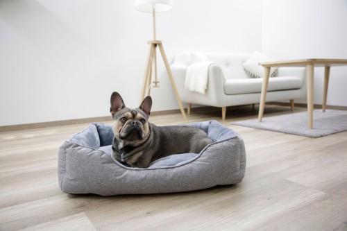 4b49a97492614edc7f0196259279fdec