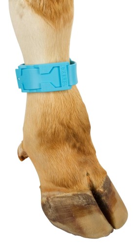 ce014ecab8caf7f15a0540f794ea9729