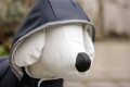 b48d5880edcca82a244566766c8d644e