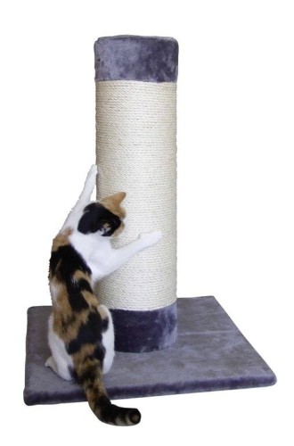 df5e20e060f20fab22e55096609e97b4